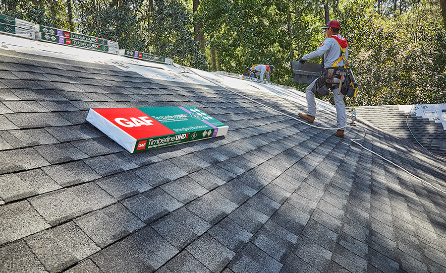 Roof Clean Up